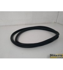 Borracha Da Porta Tras/dir Citroen C4 Lounge 2018