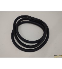 Borracha Da Porta Tras/esq Peugeot 2008 Allure 2020