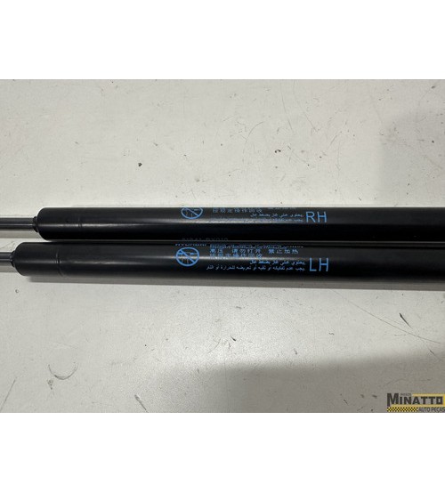 Amortecedores Do Porta Mala Hyundai Creta 2024