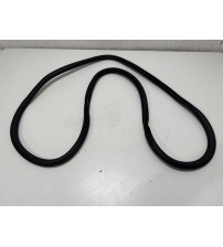 Borracha Da Porta Tras/dir Audi A4 Tfsi 2018