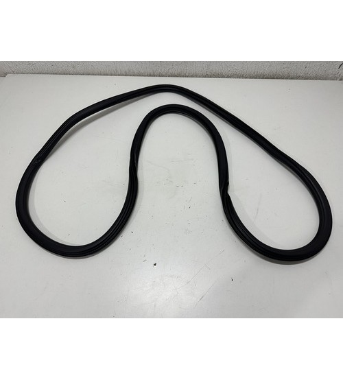 Borracha Da Porta Tras/esq Audi A4 Tfsi 2018