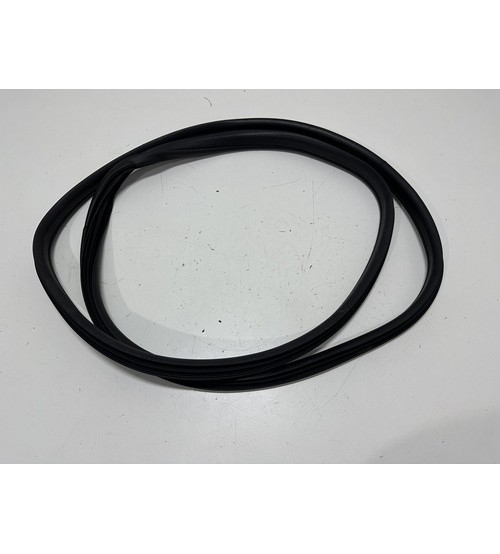 Borracha Da Porta Dian/esq Fiat Fastback Abarth 2023