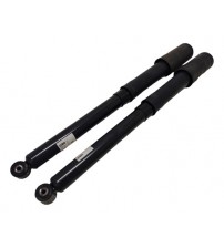 Amortecedores Traseiros Honda Hrv 2016