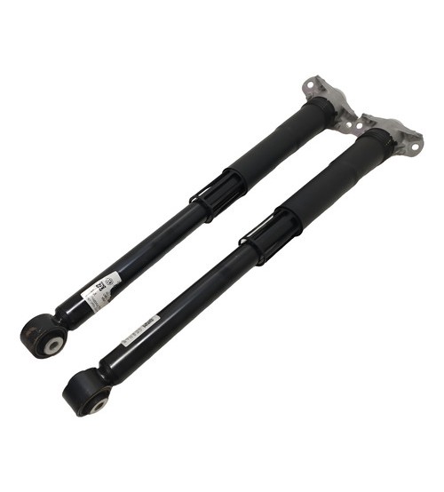 Amortecedores Traseiros Vw T-cross 1.0 Tsi 2021