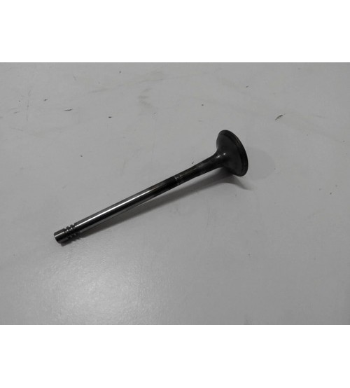 Válvula De Escape Cabeçote Audi A5 2.0 Tfsi 225cv 2015