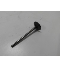 Válvula De Admissão Cabeçote Audi A5 2.0 Tfsi 225cv 2015