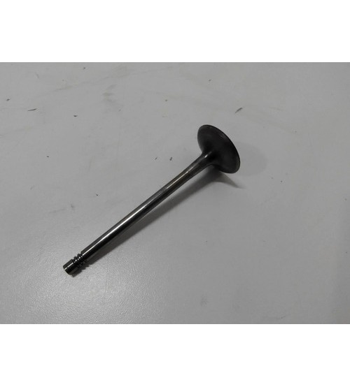 Válvula De Admissão Cabeçote Audi A5 2.0 Tfsi 225cv 2015