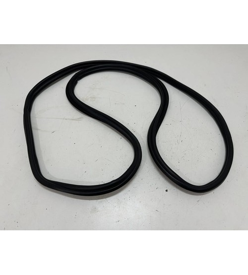 Borracha Da Porta Tras/esq Vw Polo Hl 2023