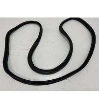 Borracha Da Porta Tras/dir Vw Polo Hl 2023