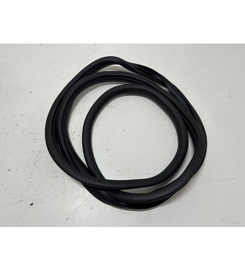 Borracha Da Porta Tras/esq Hyundai Hb20 Sense Hatch 2024